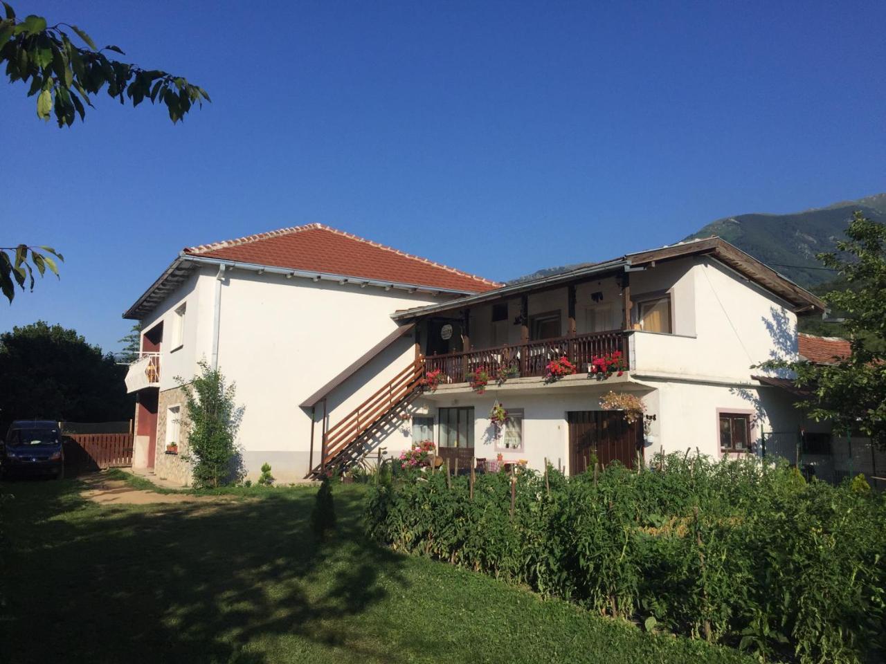 Kitka Hostel - Guest House Vratnica Εξωτερικό φωτογραφία