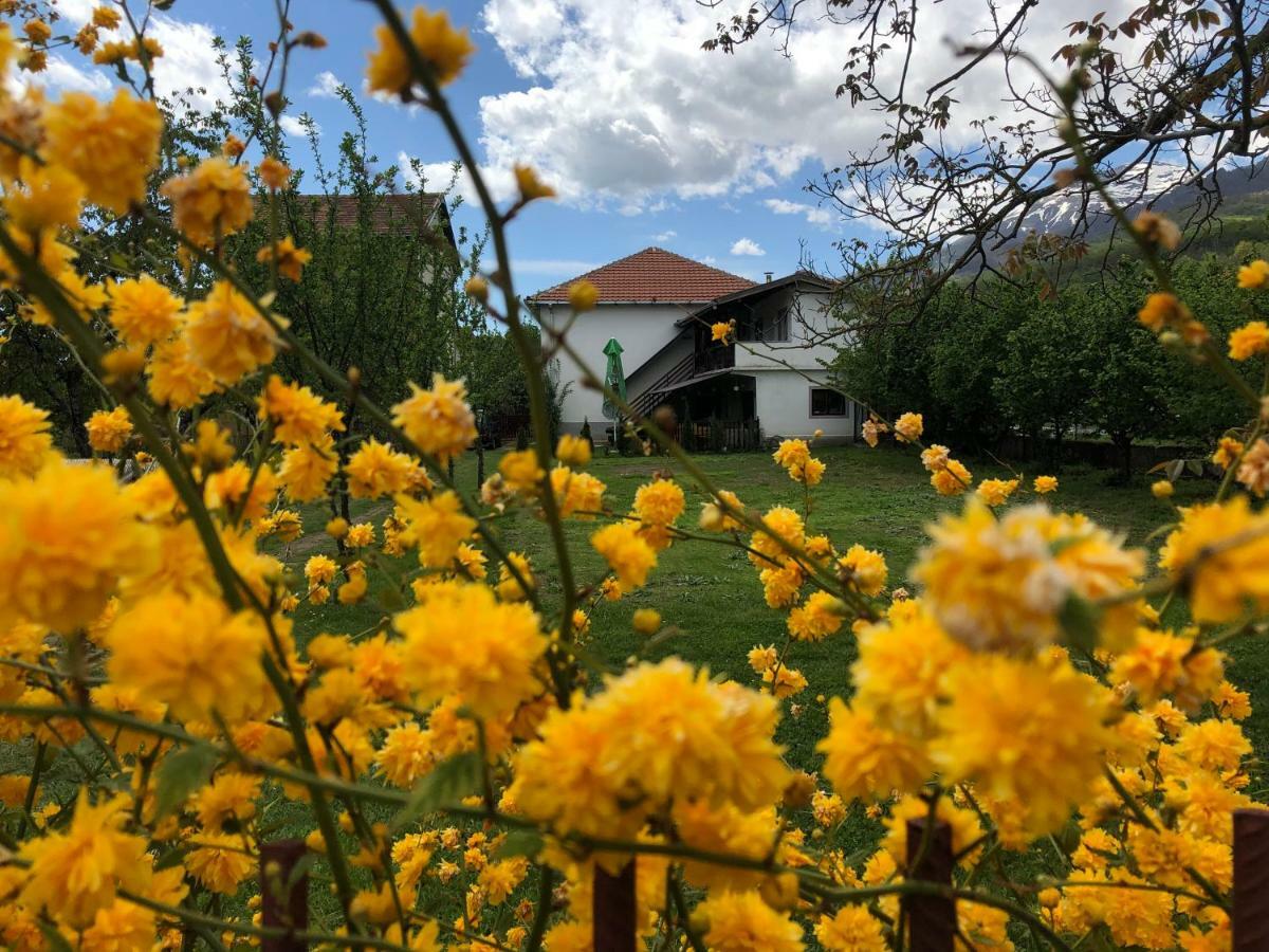 Kitka Hostel - Guest House Vratnica Εξωτερικό φωτογραφία